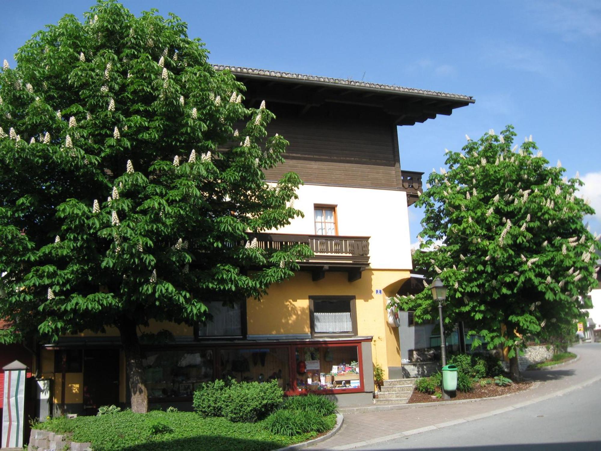 Haus Am Dorfplatz Appartement Uttendorf Buitenkant foto